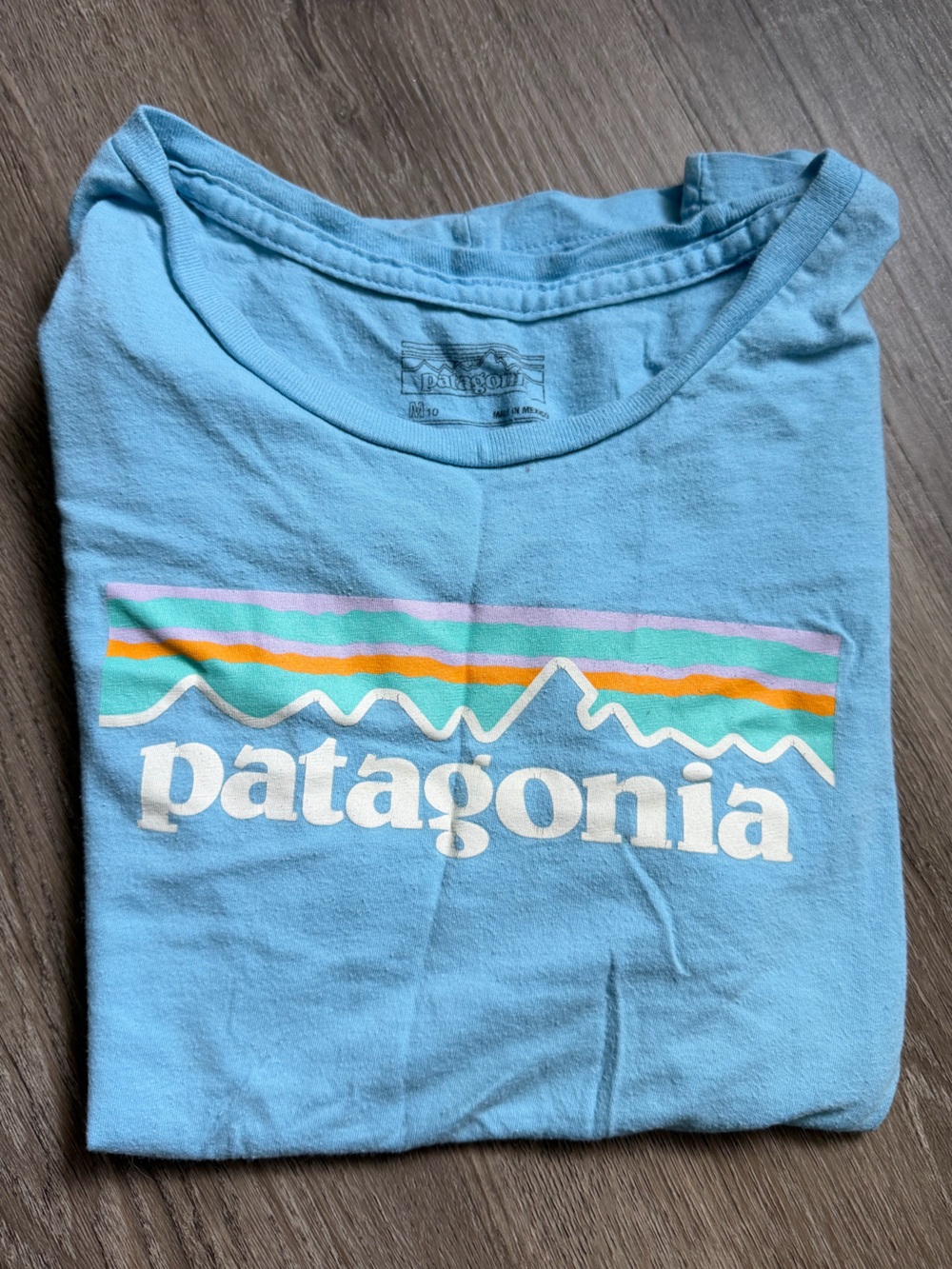 Patagonia kids graphic t-shirt